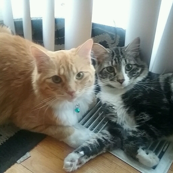 Meet your Posher, Christina - Picture 1 of 1